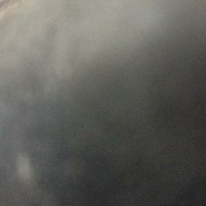 Meet your Posher, Terry